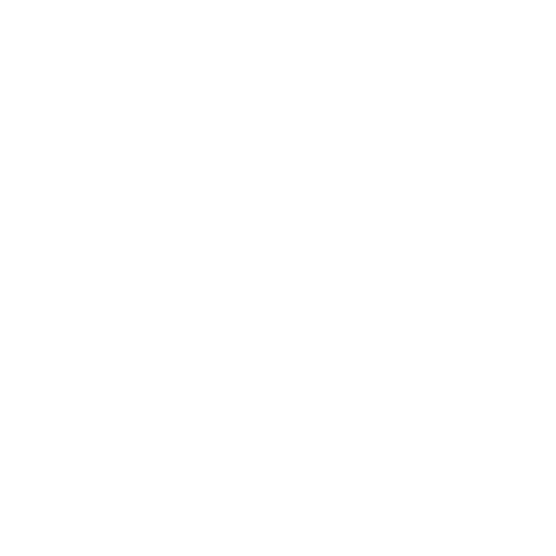 Logo Light